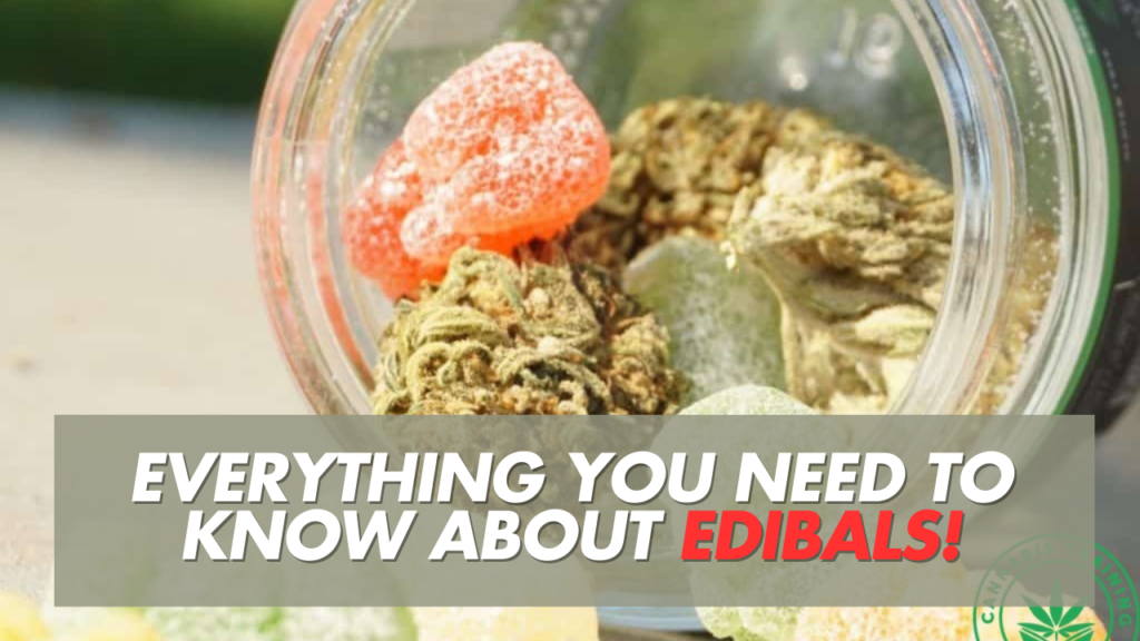 Everything You Need to Know about edibles