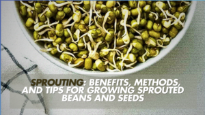 The Ultimate Guide to Sprouting: Top 7 Benefits, Methods, and Best Seeds for Sprouting