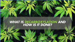 What Is Decarboxylation and How Is It Done?