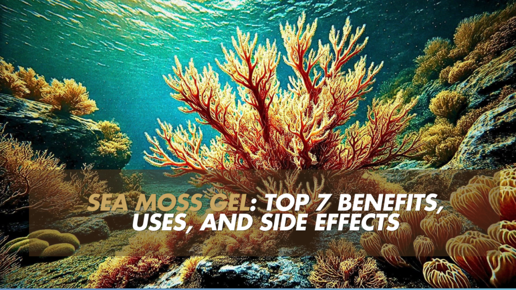 Sea Moss Gel: Top 7 Benefits, Uses, and Side Effects