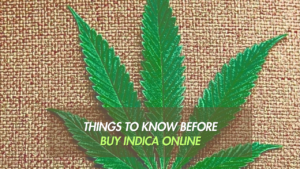 Everything You Need to Know Before Buy Indica Online!